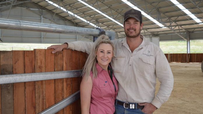   Burilda Park Equine owners Leigh and Alex Cragg set up a functional center in The Meadows |  Oberon rating

