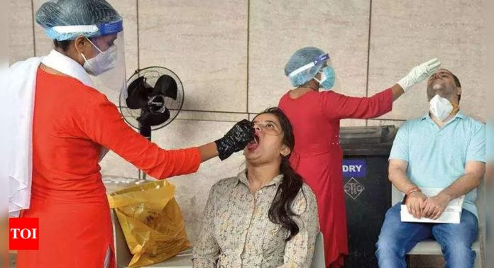  Bmc Can Ease City Restaurant, Theater Timings |  Bombay News
