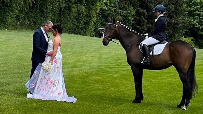 'Nothing will top this': horse serves as best man, gives reception speech and goes on couple's honeymoon
